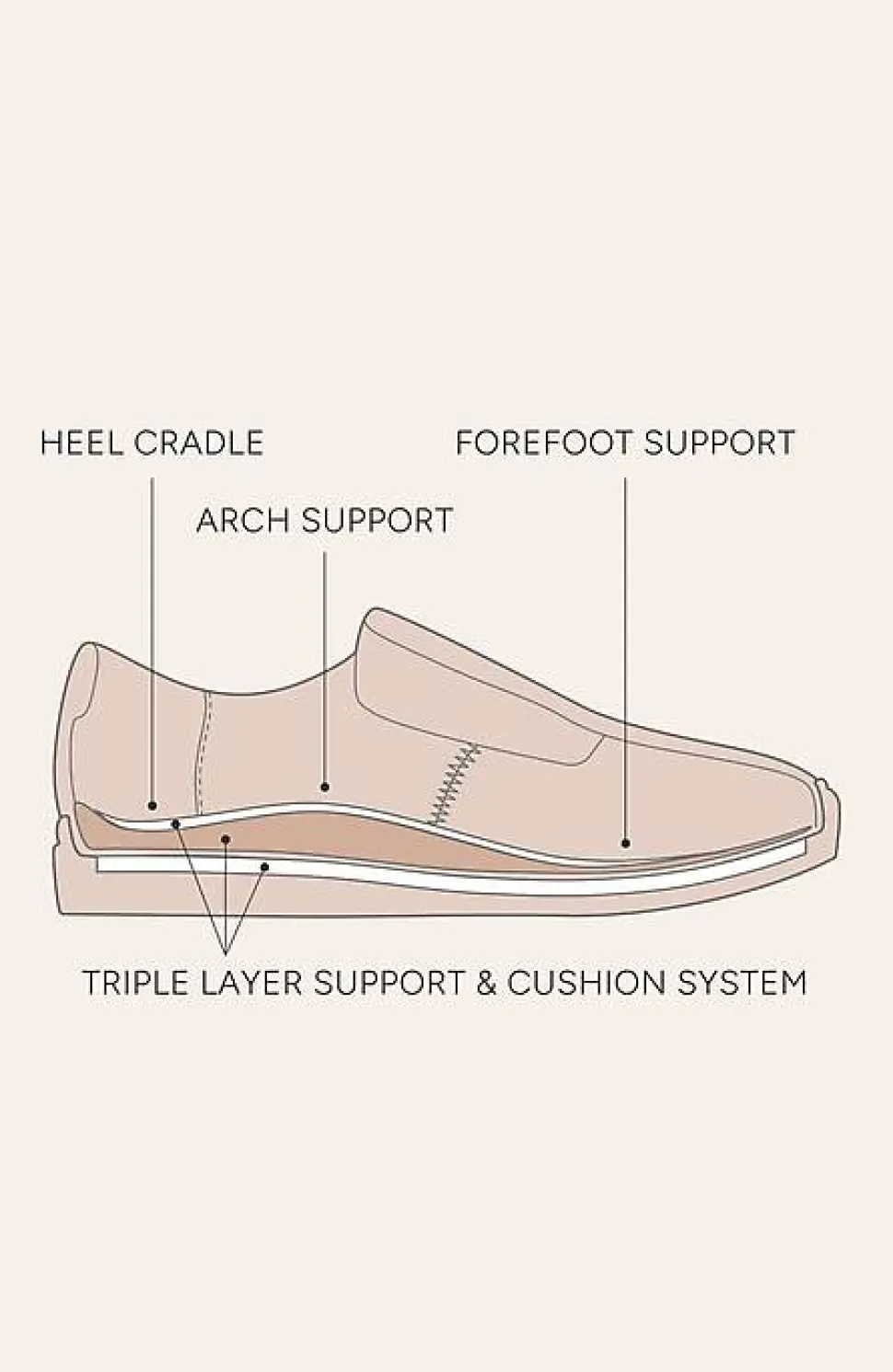 Frankie4 Mim Sneakers | Jjill
