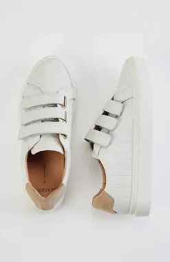 Frankie4Archer Sneakers | Jjill