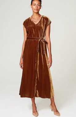 Velvet Maxi Dress | Jjill